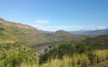They Leave to Uplift, Not to Escape: How Migration Sustains Lesotho’s Quiet Villages