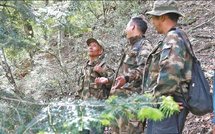 Father and son devoted over 30 years to protecting the Yunnan golden hair monkeys
