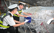 Over 3,200 companies confirm participation in 8th CIIE