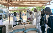 Tchad : La Fédération des producteurs de semences du Lac vulgarise ses succès à Bol