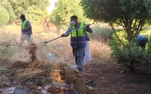 Tchad : « Samedis citoyens » : N'Djamena se mobilise pour la salubrité