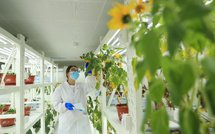 China emerges as a global leader in seed industry innovation