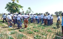 Tchad : les agripreneurs en visite d’échange à Kélo pour renforcer leurs compétences