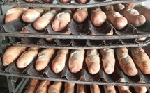 N’Djamena : 538 340 pains par jour, la dépendance silencieuse aux farines importées