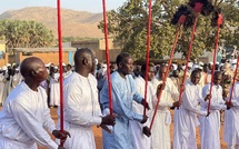 Tchad : Le Sultanat du Dar-Sila a organisé une fête traditionnelle de brassage à Goz-Beïda