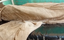 Tchad : une jeune femme a tenté de mettre fin à ses jours à Mongo après une rupture amoureuse