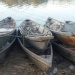 Des pirogues saisies par la brigade mobile des eaux et douanes au Lac Tchad.