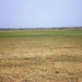Plaine de Gara / Salamat