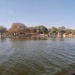 Lac Tchad rives