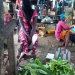 Moundou Logone Occidental marché Tchad commerce vente aliments légumes vendeuses