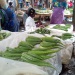 Moundou Logone Occidental marché Tchad commerce vente aliments légumes vendeuses