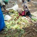 Moundou Logone Occidental marché Tchad commerce vente aliments légumes vendeuses