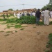 Tchad : l'armée encercle le Palais Royal d'Abéché / Sultanat