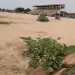 Tchad : stade municipal d'Abéché (Ouaddaï)