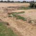 Tchad : stade municipal d'Abéché (Ouaddaï)