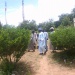 Tchad : la rafle au Sila, les civils désemparés
