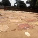 Abattoir central de Moundou au Tchad