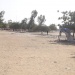 Lycée de Gassi, 7ème arrondissement N'Djamena Salles de classes école