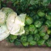 Marché Massakory Hadjer Lamis