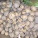 Marché Massakory Hadjer Lamis