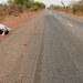 Kélo Tandjilé Ouest route âne
