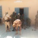 CEMGA armée militaire Tchad ANT soldats Goz Beida Sila