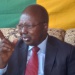 Nerolel Ndoukolé