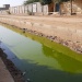 Caniveaux N'Djamena