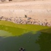 Caniveaux N'Djamena
