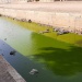 Caniveaux N'Djamena