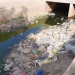 Caniveaux N'Djamena