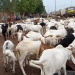 Moutons