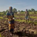 Agriculture