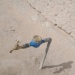 Robinet eau Mao