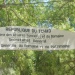 Direction domaine patrimoine