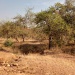 Mayo Kebbi Ouest