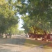 Baïbokoum