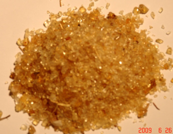 La SCCL, la pionnière de la filière gomme arabique La SCCL, la pionnière de la filière gomme arabique